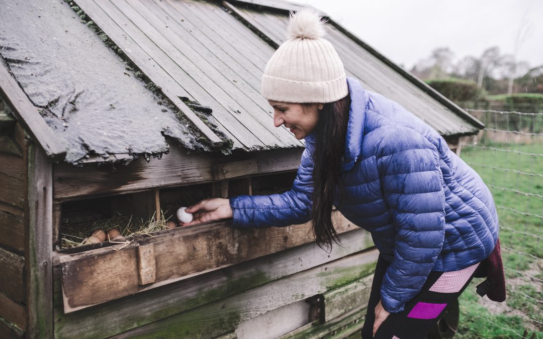 My Wootton Park Wellness Retreat Experience