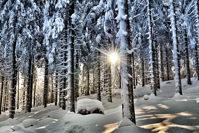 5 Health Benefits of The Winter Sun and How To Make The Most of It