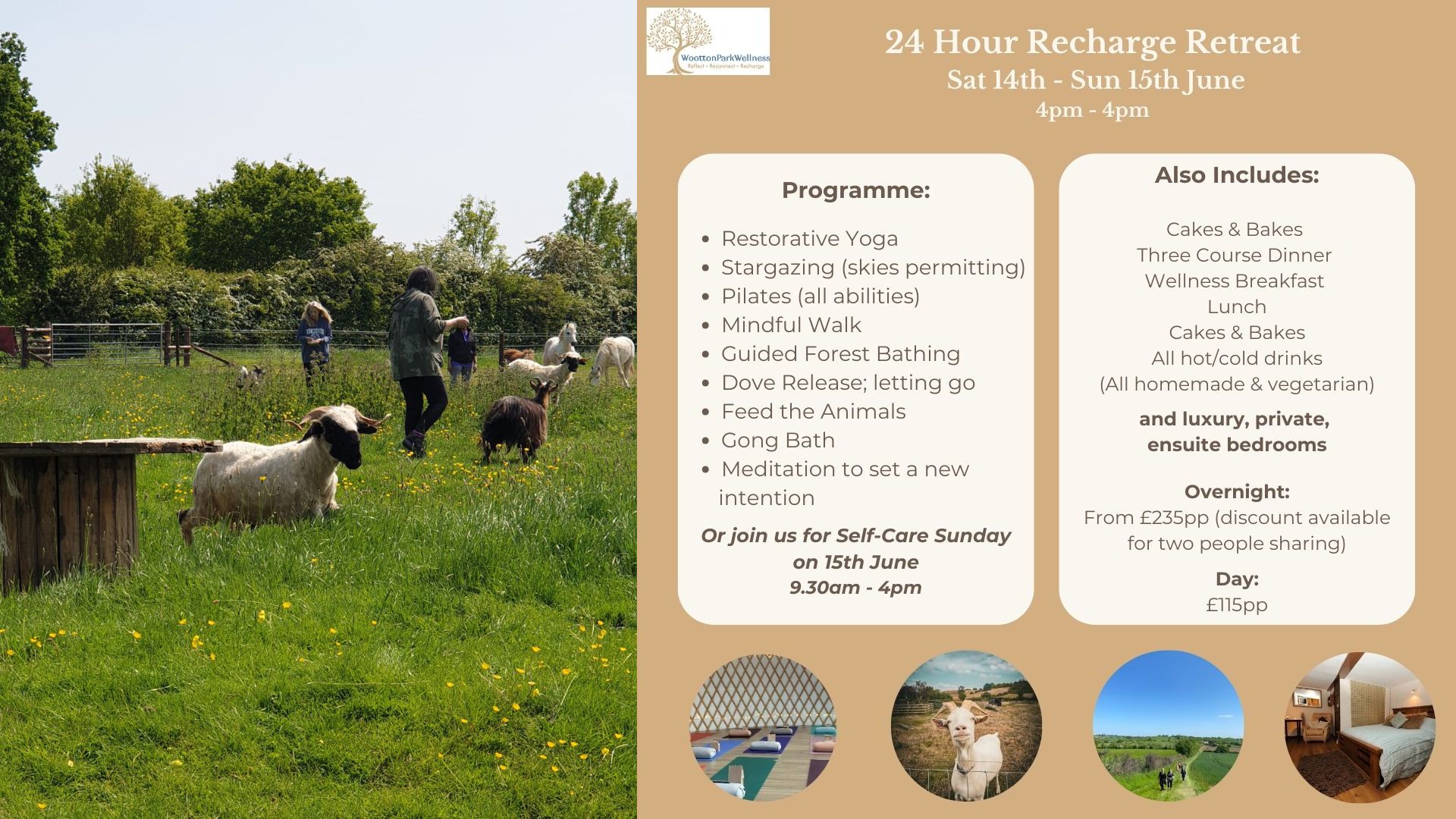 Wellness Retreat UK, 24 Hour Charge Retreat, July 2025, Warwickshire, Wootton Wawen, Wootton Park Wellness, Gong Bath, Forest Bathing, Restorative Yoga, Pilates, Dove Release, Meditation, June 2025