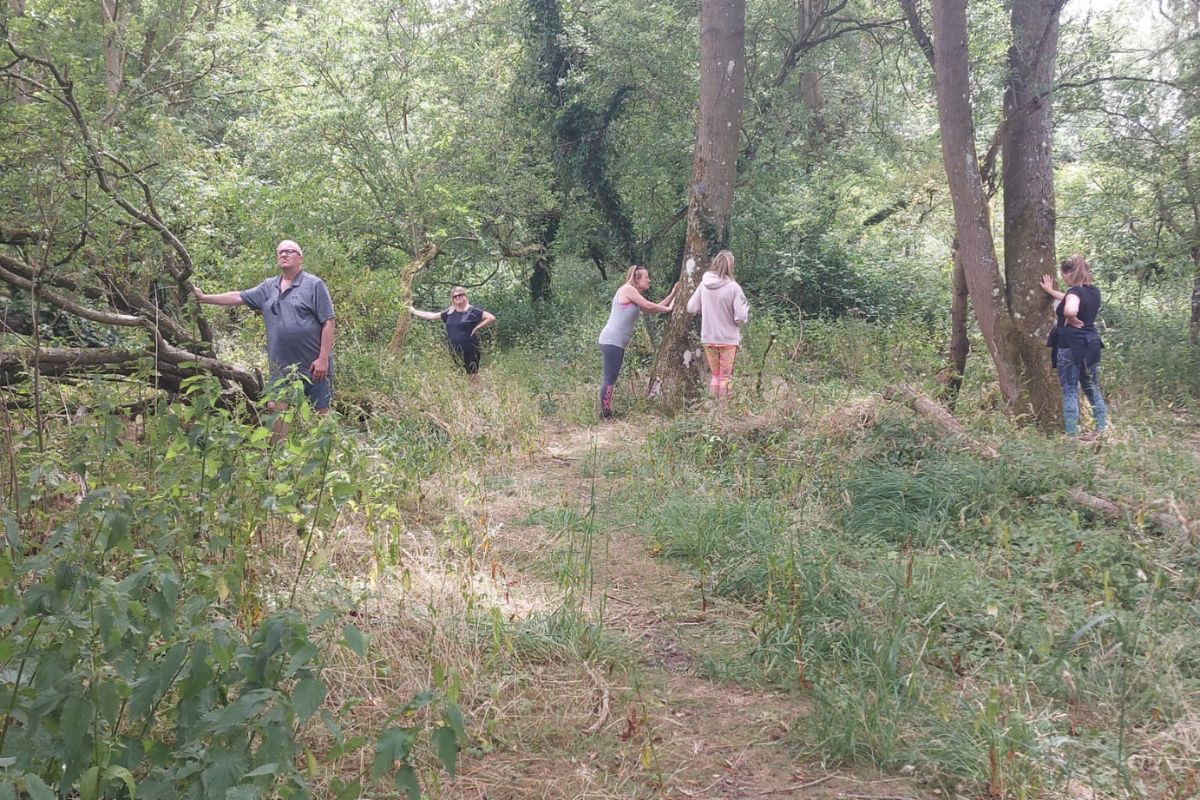 Nurture & Nature Day Retreat, Introduction to Forest Bathing, Wootton Wawen, Wootton Park, Wootton Park Wellness, Warwickshire, Warwickshire Retreats, Self-Care in Nature
